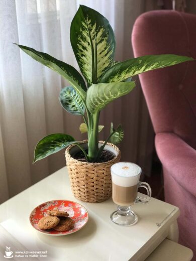 Türk kahvesi, Turkish coffee, kahve sunumu, kahve, coffee, Turkish coffee