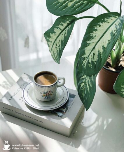 Türk kahvesi, Turkish coffee, kahve sunumu, kahve, coffee, Turkish coffee