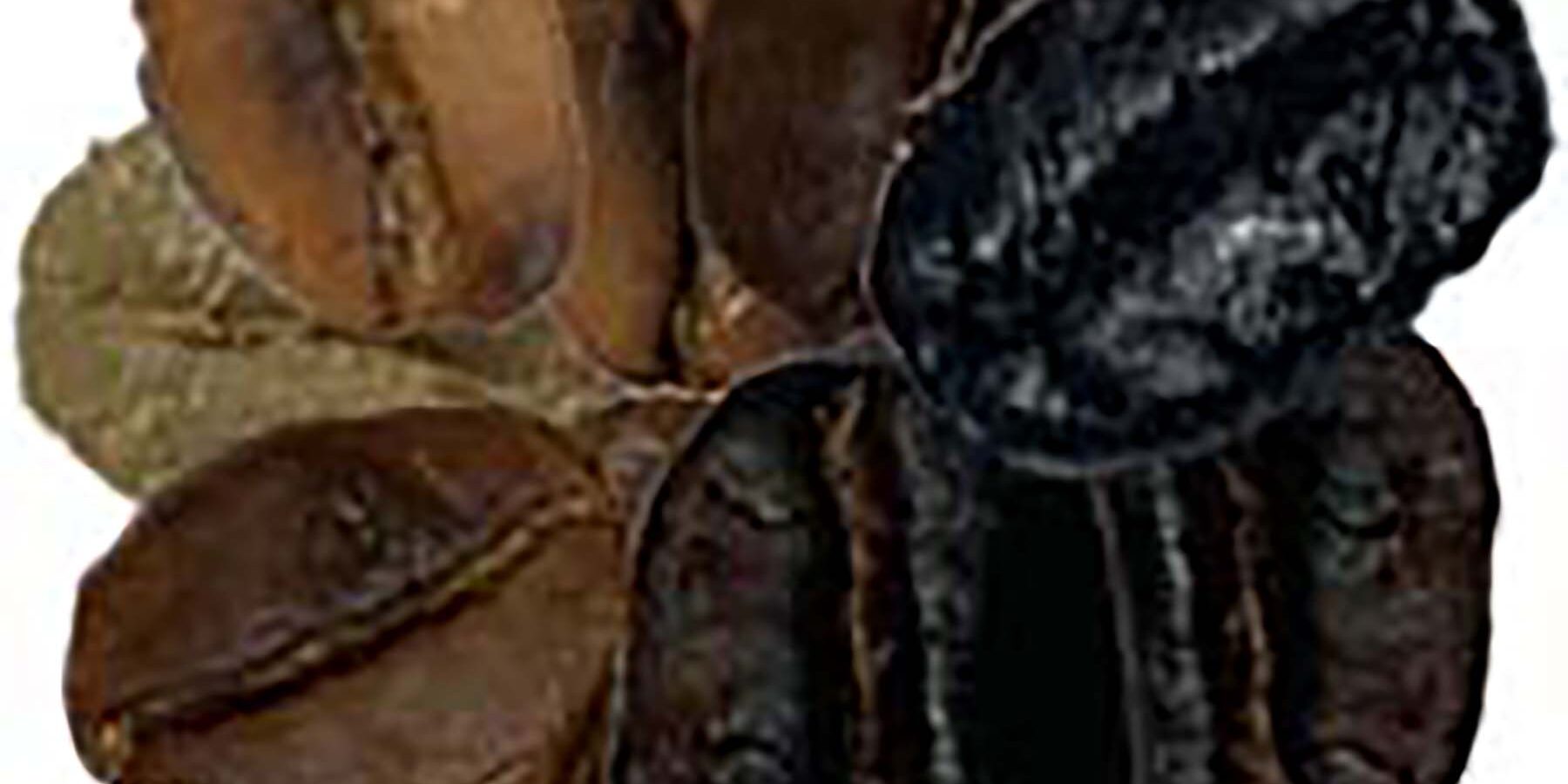 kavrulmuş kahve kavrulmuş kahve