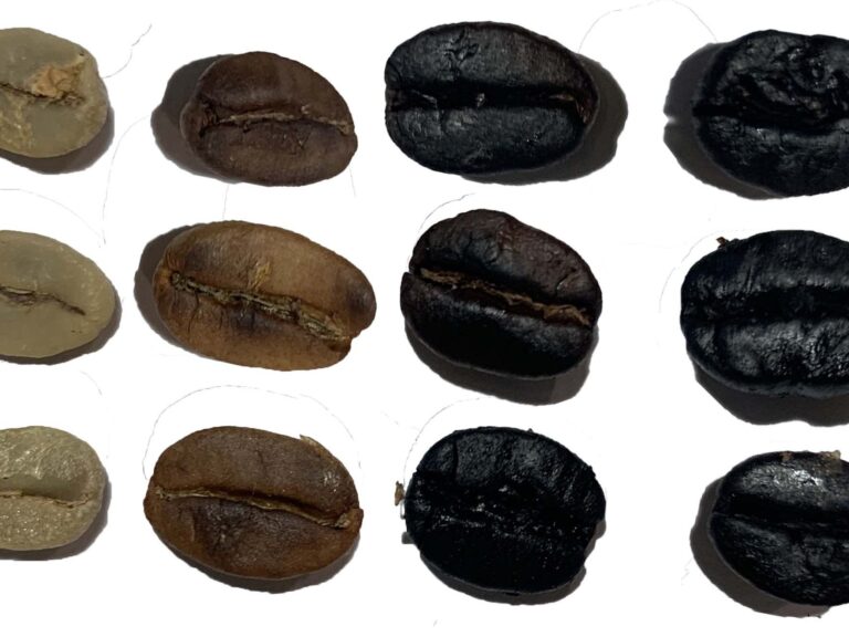 KAHVENİN KAVRULMA AŞAMALARI